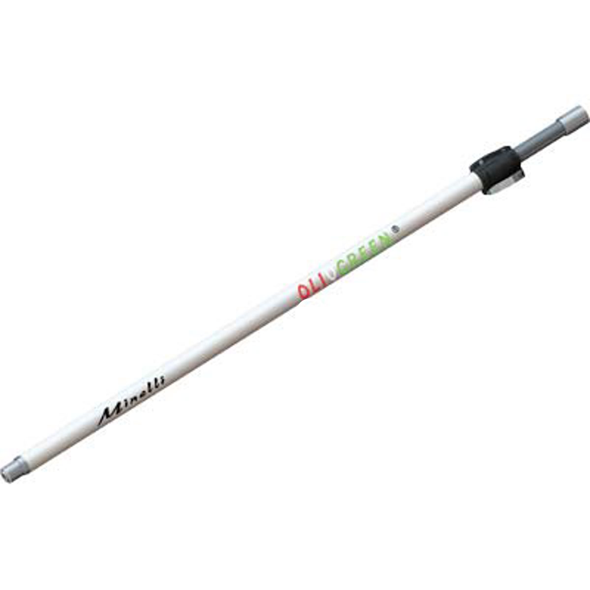MANICO TELESCOPICO X COGLIOLIVE AC MINELLI H.MT 1,6/3,0 - 01100140