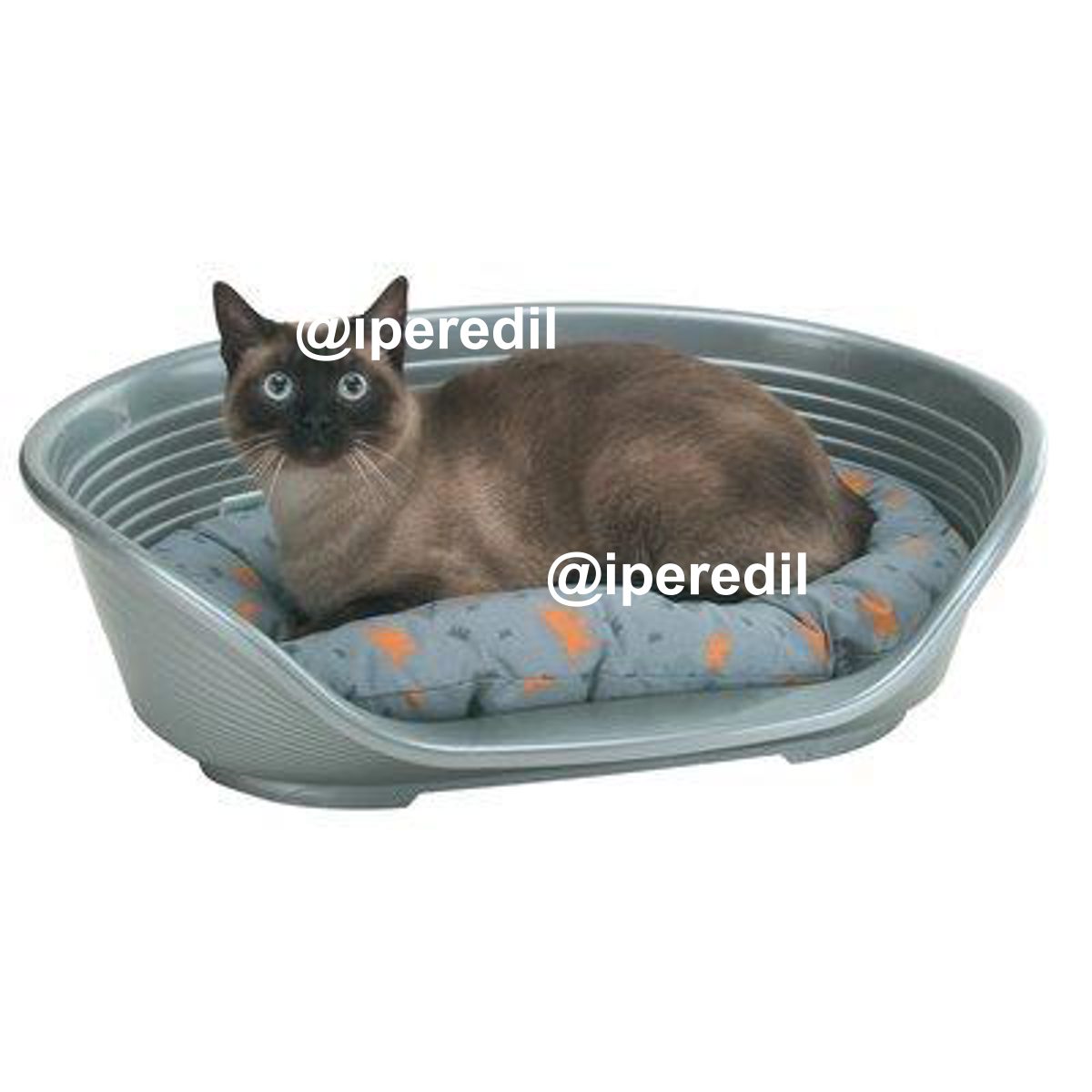 LETTINO X CANI E GATTI DELUXE FERPLAST PP CM 70X52 H.CM 23,5 - 01131726