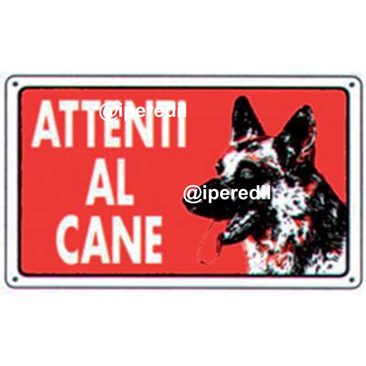 TARGA SEGNALETICA ATTENTI AL CANE PP CM 20X30 - 01134700