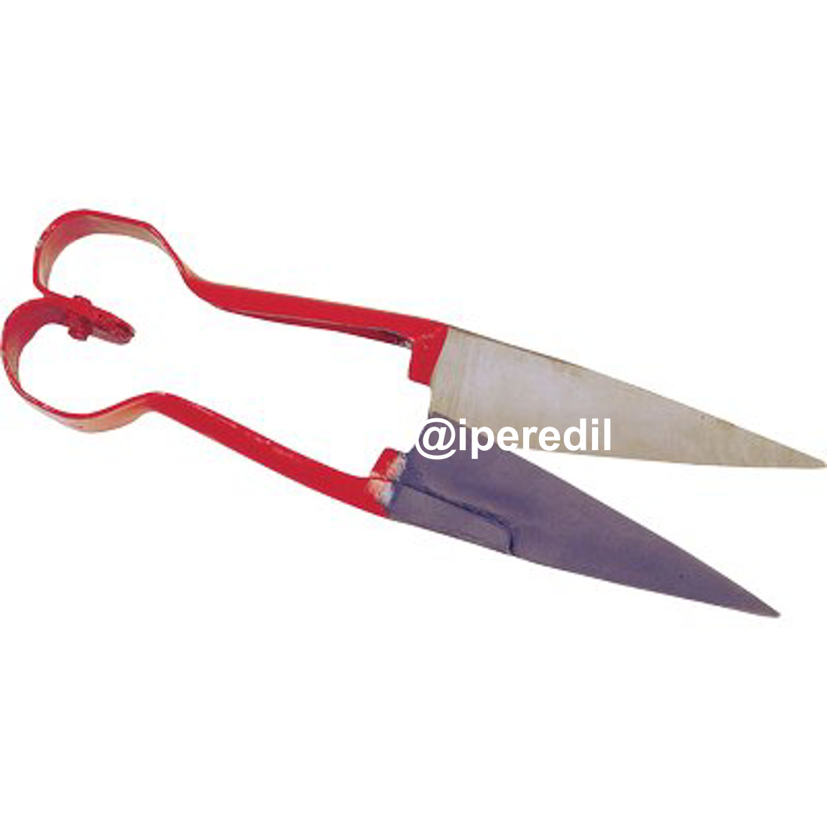 TOSATRICE PECORA A FORBICE KERBL CM 31 - 01143004