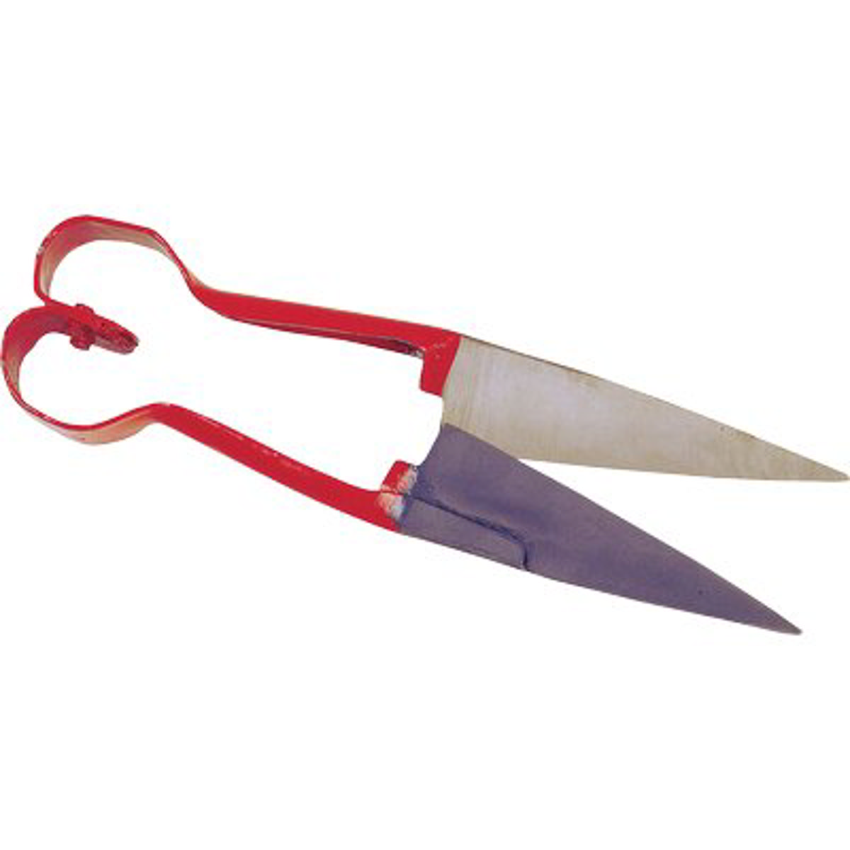 TOSATRICE PECORA A FORBICE KERBL CM 31 - 01143004