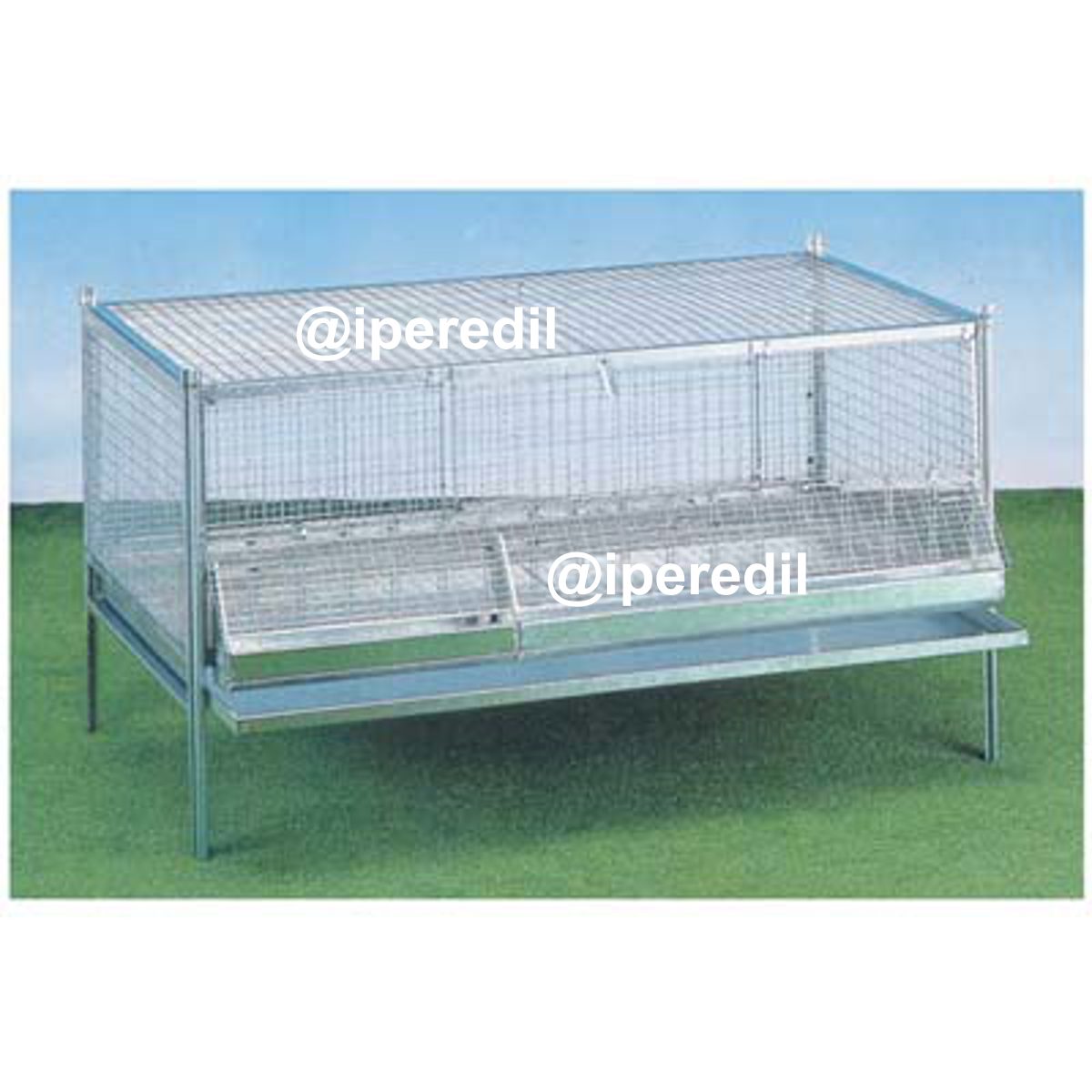 GABBIA PULCINI ANTITOPO CM 100X50 H.CM 60 - 01151500