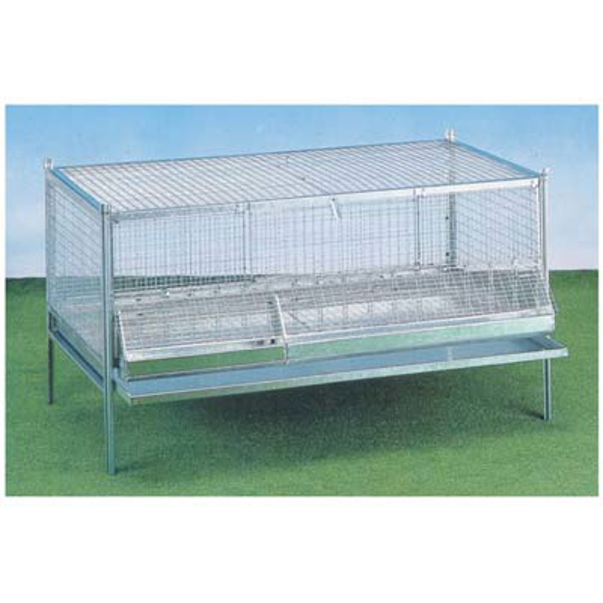 GABBIA PULCINI ANTITOPO CM 100X50 H.CM 60