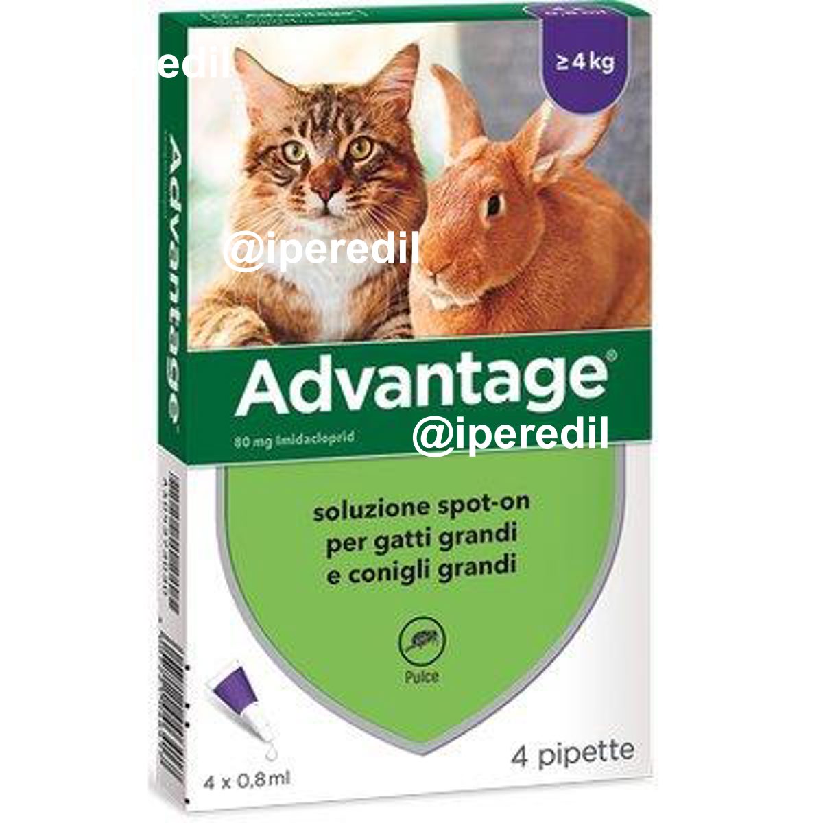 ANTIPARASSITARIO ADVANTAGE GATTI ELANCO KG 4+ CF=PZ 4 - 01191208