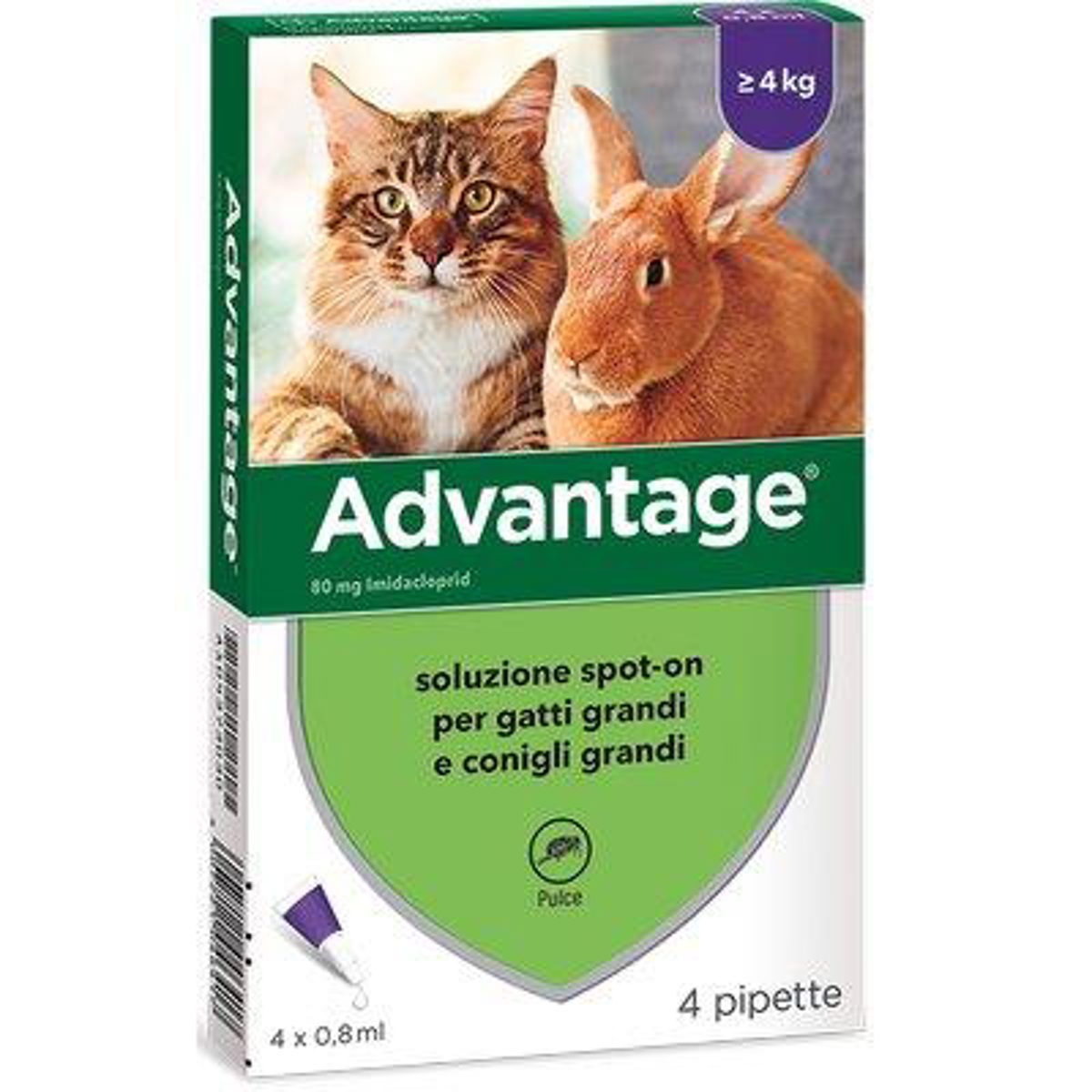ANTIPARASSITARIO ADVANTAGE GATTI ELANCO KG 4+ CF=PZ 4