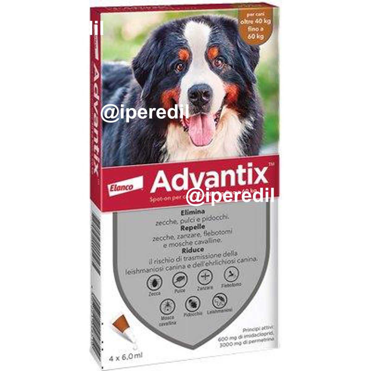 ANTIPARASSITARIO ADVANTIX CANI ELANCO KG 40+ CF=PZ 4