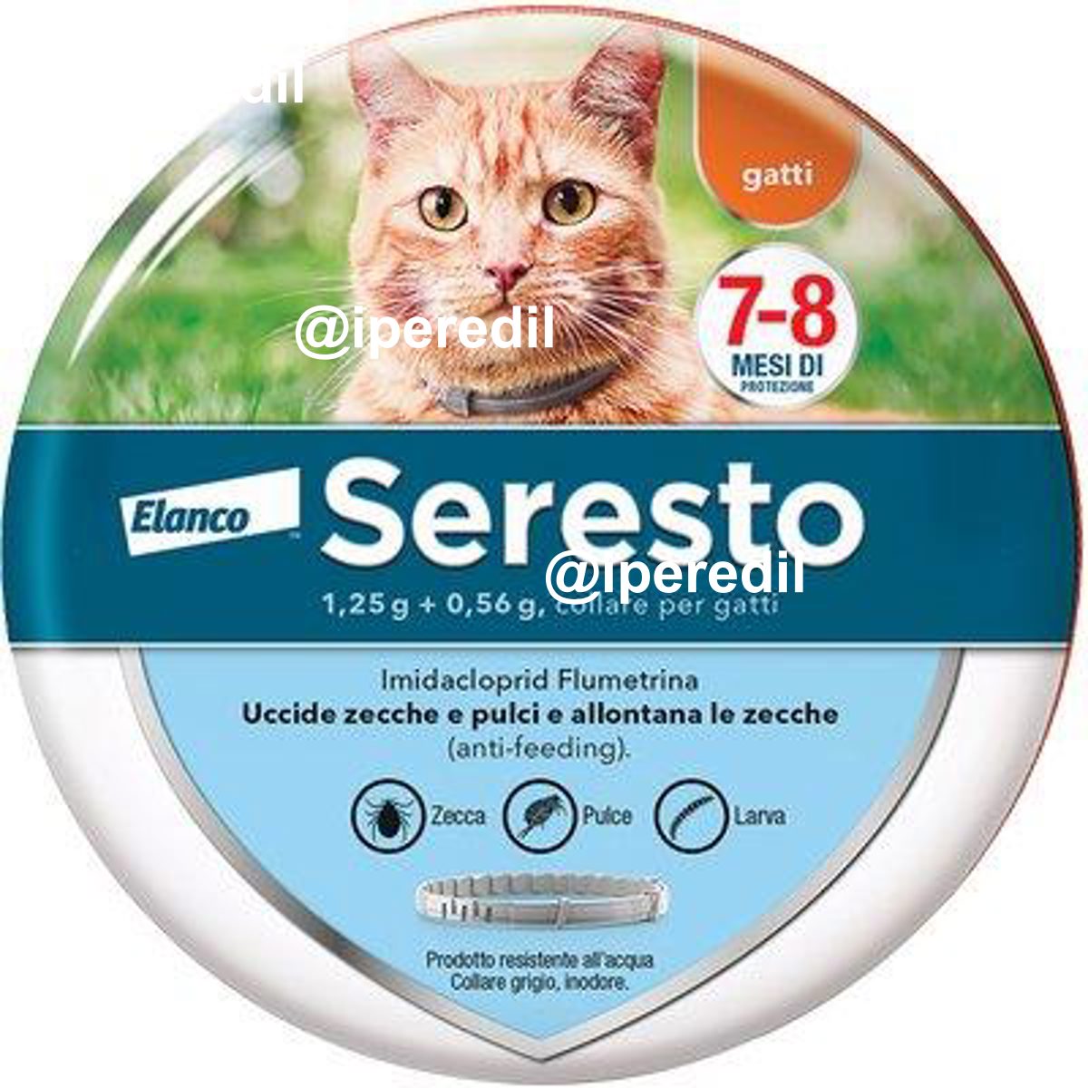 ANTIPARASSITARIO SERESTO GATTI ELANCO CM 38
