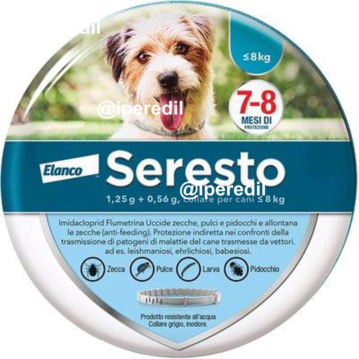 ANTIPARASSITARIO SERESTO CANI ELANCO KG 0/8 CM 38