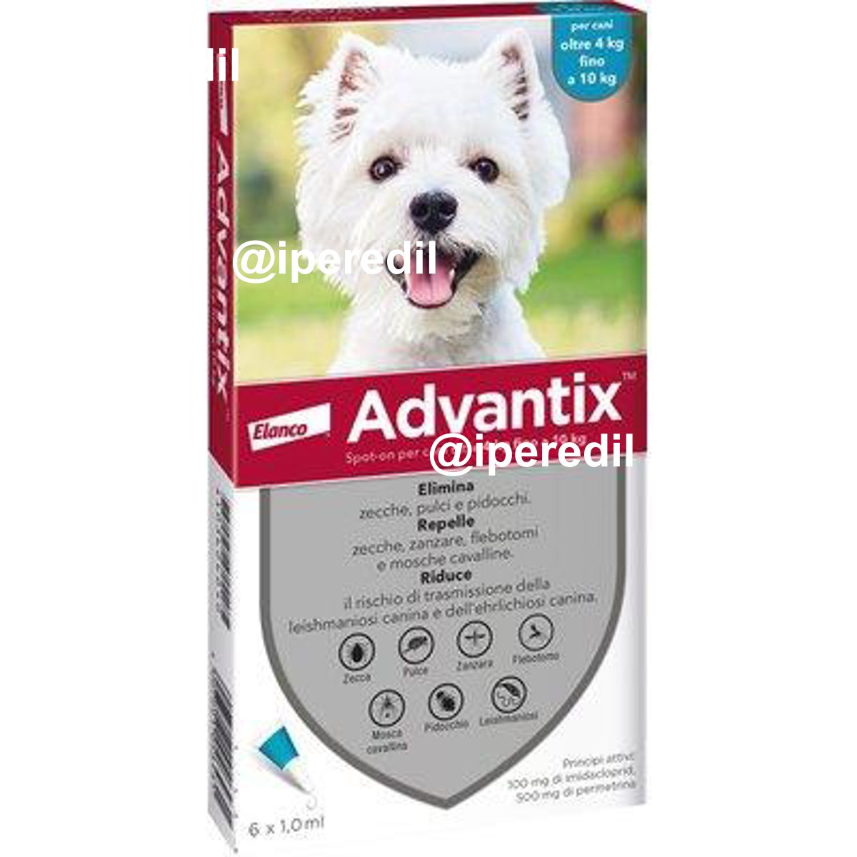 ANTIPARASSITARIO ADVANTIX CANI ELANCO KG 4/10 CF=PZ 6 - 01191321