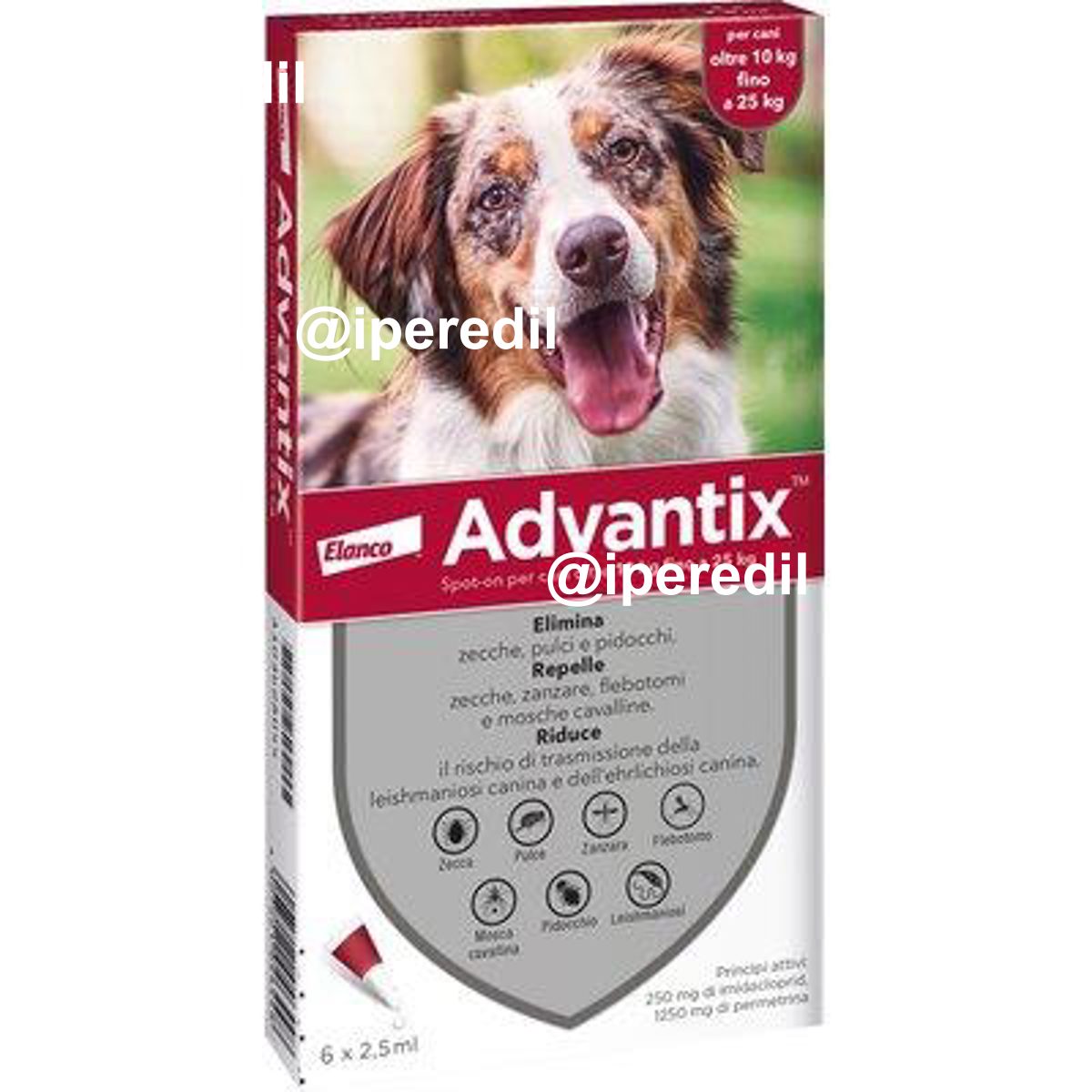 ANTIPARASSITARIO ADVANTIX CANI ELANCO KG 10/25 CF=PZ 6 - 01191322