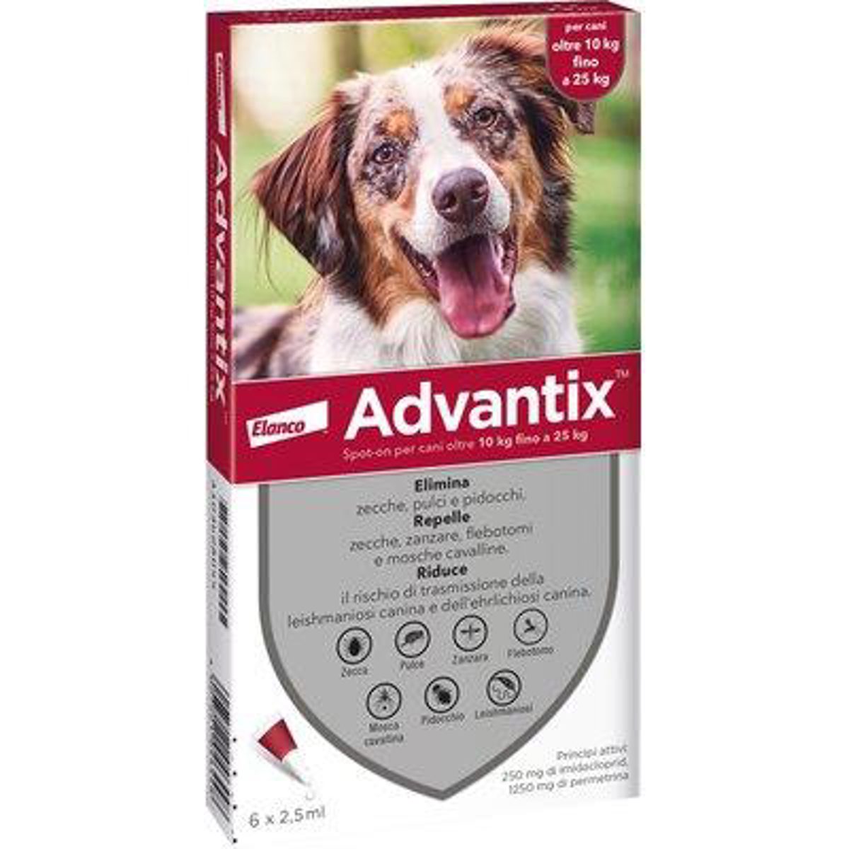 ANTIPARASSITARIO ADVANTIX CANI ELANCO KG 10/25 CF=PZ 6
