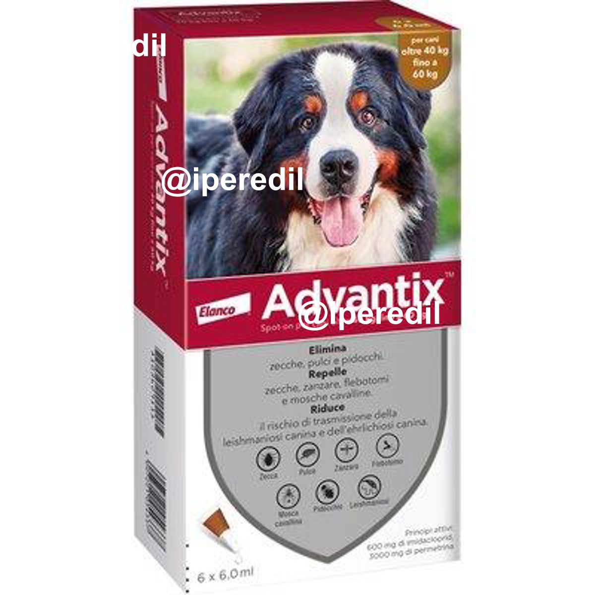 ANTIPARASSITARIO ADVANTIX CANI ELANCO KG 40+ CF=PZ 6
