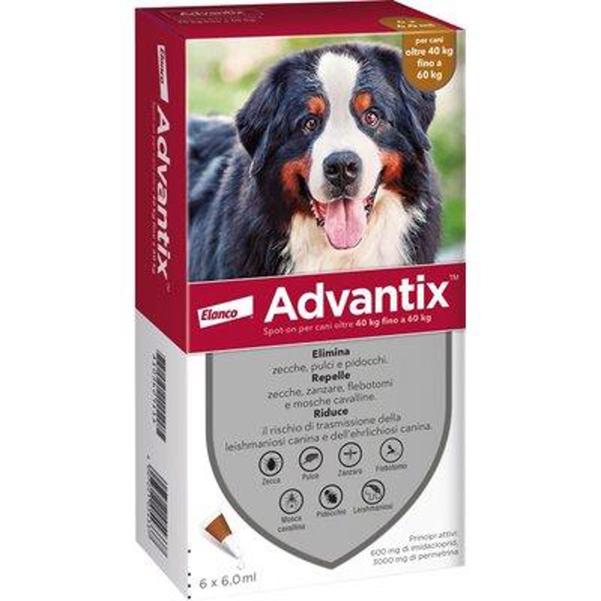 ANTIPARASSITARIO ADVANTIX CANI ELANCO KG 40+ CF=PZ 6