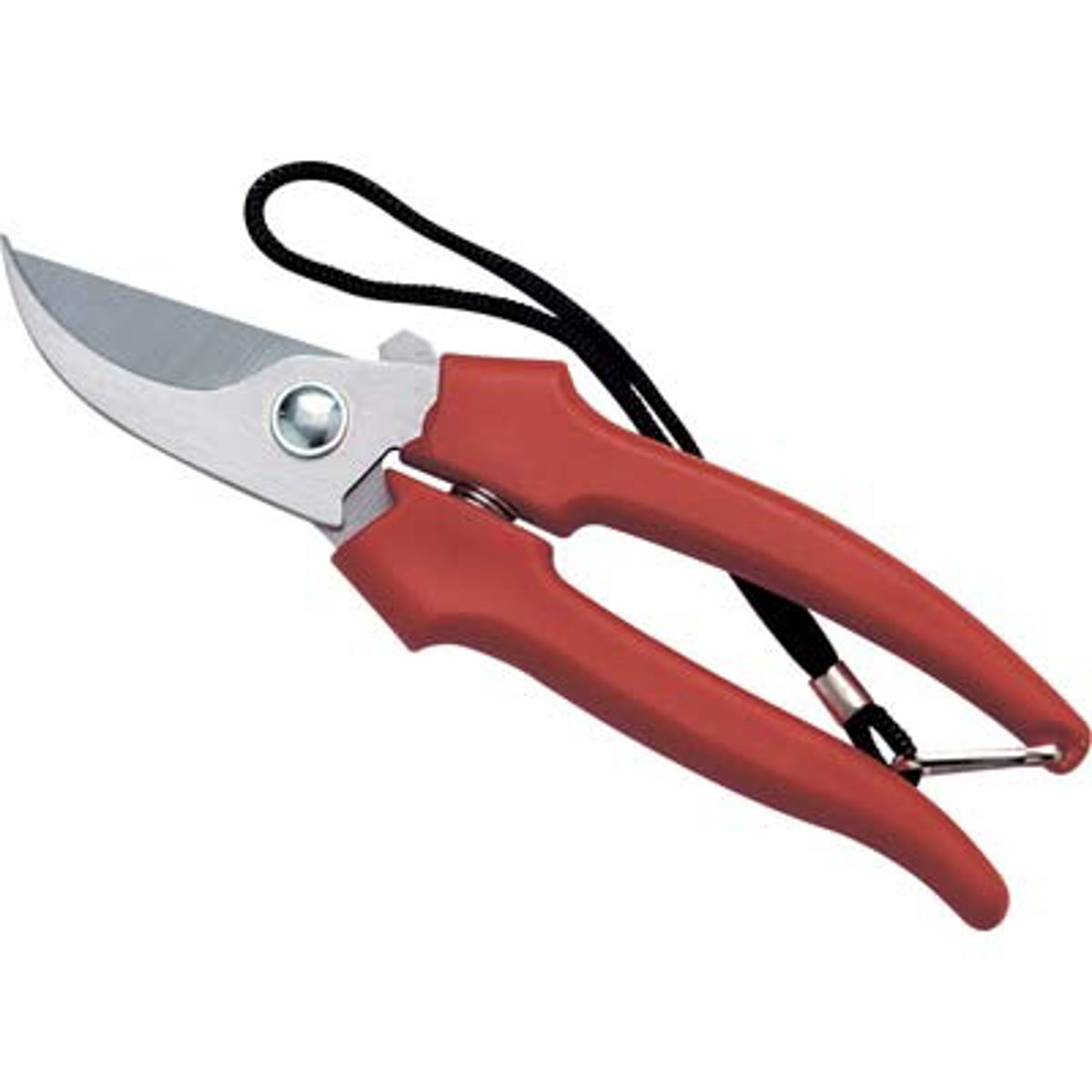 FORBICE RACCOLTA A MEZZALUNA AUSONIA CM 19 - 01233417
