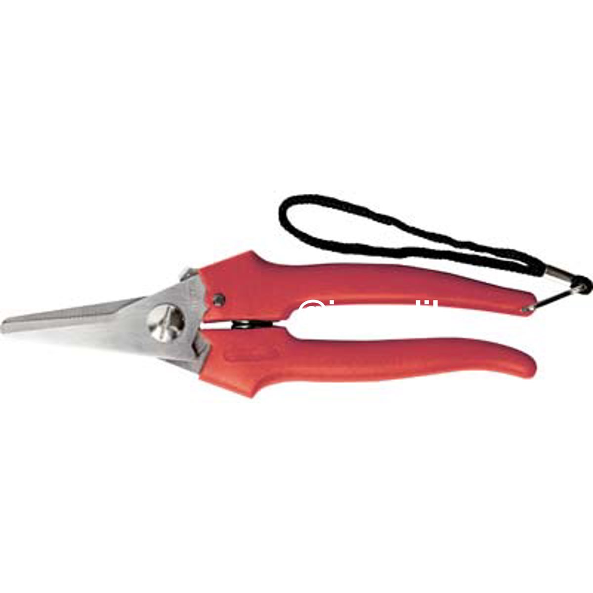 FORBICE RACCOLTA A PUNTA LARGA AUSONIA CM 19