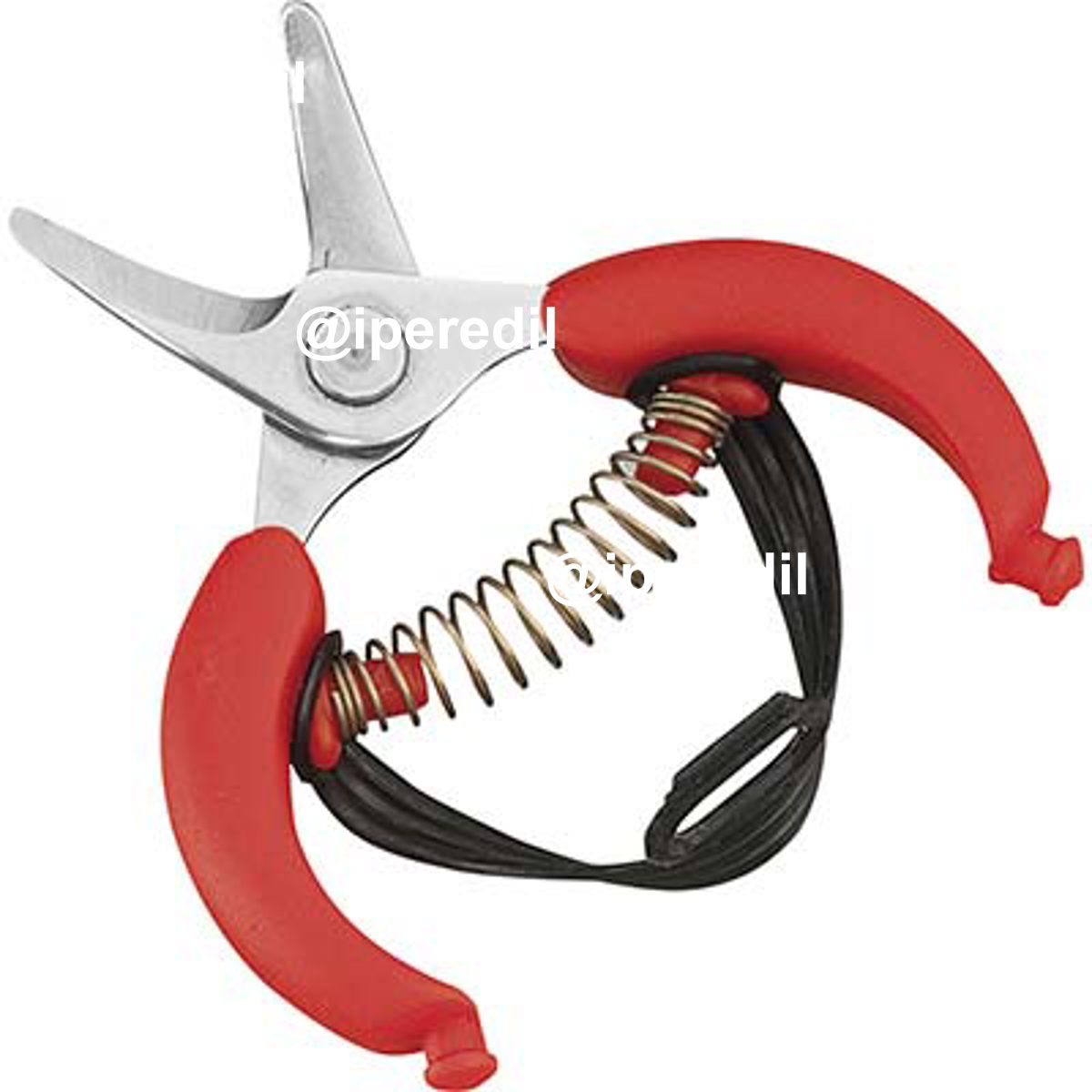 FORBICE RACCOLTA AGRUMI AUSONIA MM 105