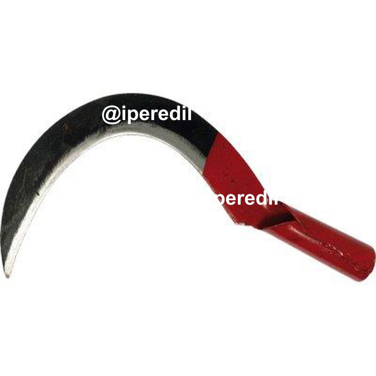 RONCOLA SFRATTAROLA SCANSANO + CANOLA 285 LEONELLI ACCIAIO FORGIATO CM 28 CANNA O.MM 36