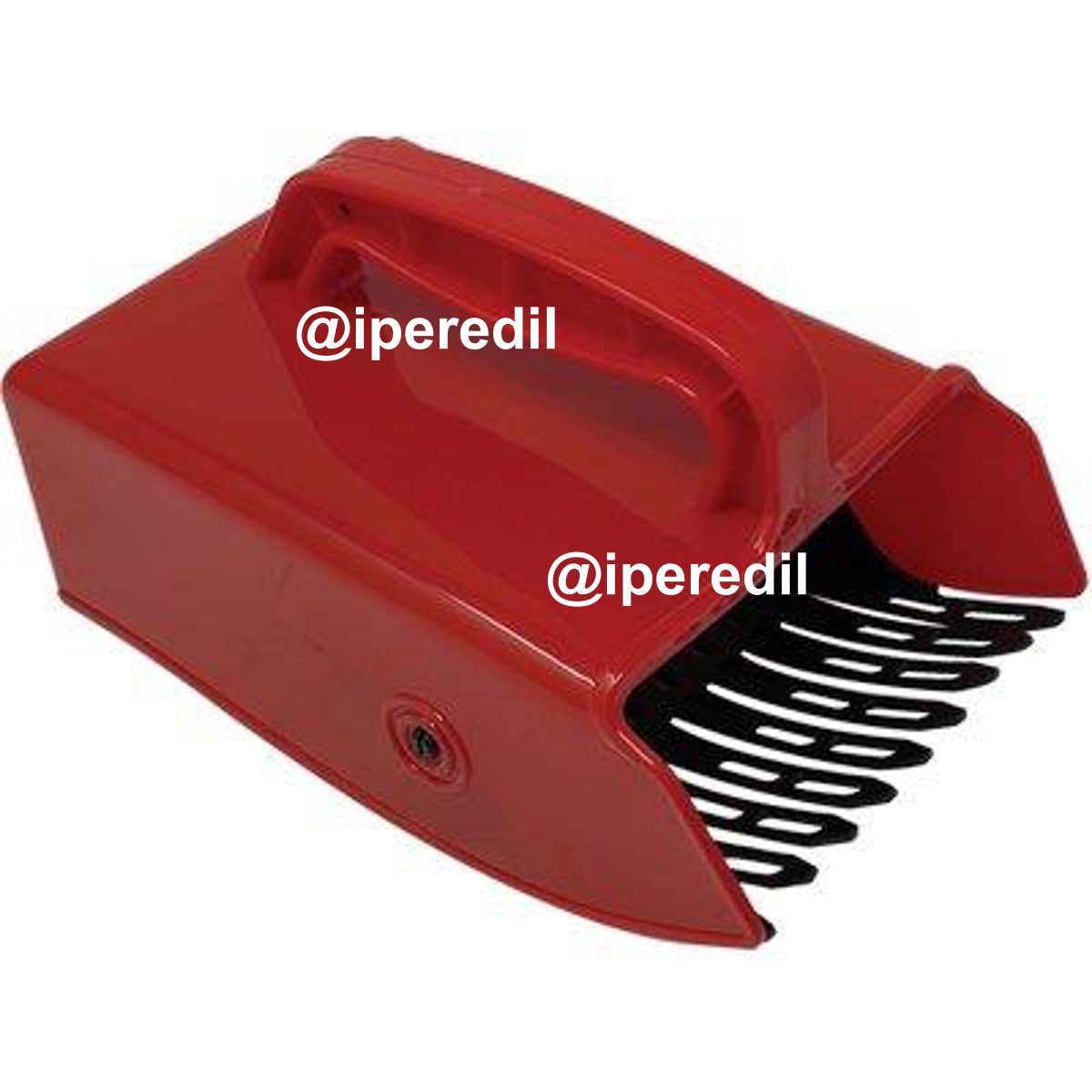 COGLIBACCHE E MIRTILLI STARS PE MM 230X140