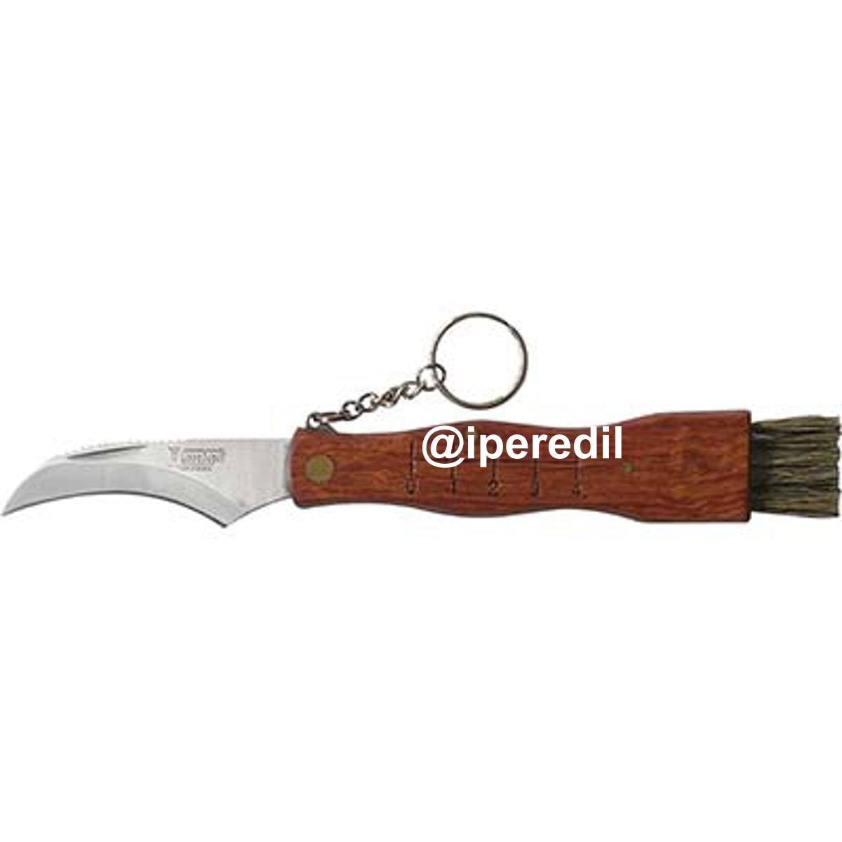 COLTELLO SERRAMANICO X FUNGHI DE LUCA INOX/LEGNO + SPAZZOLINO CM 19