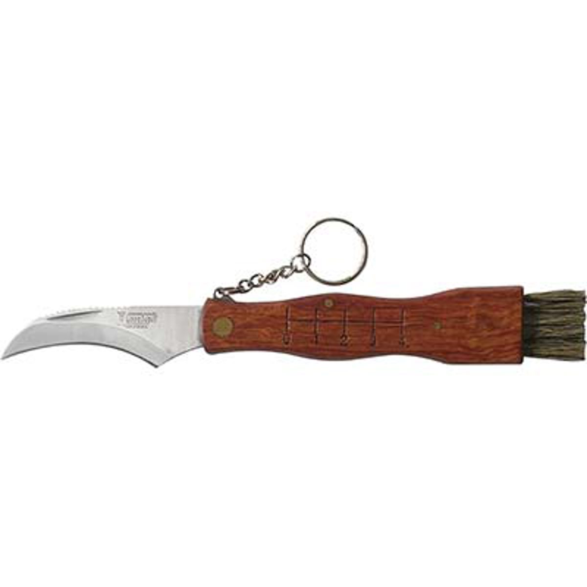 COLTELLO SERRAMANICO X FUNGHI DE LUCA INOX/LEGNO + SPAZZOLINO CM 19 - 01253300