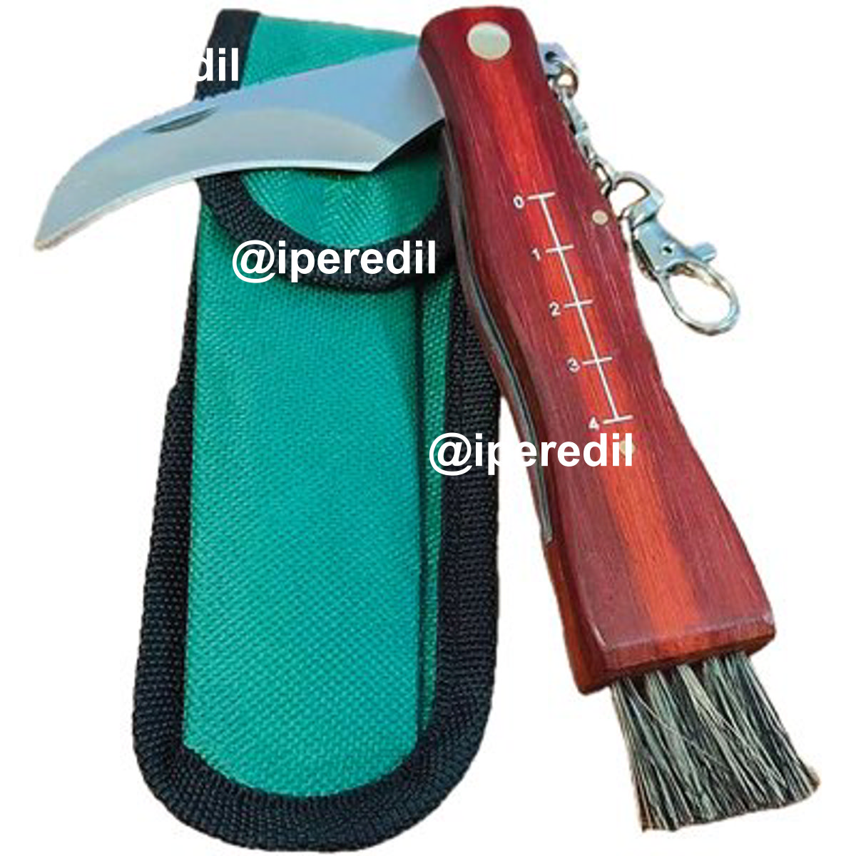COLTELLO SERRAMANICO X FUNGHI INOX/LEGNO + SPAZZOLINO CM 19 + FODERO
