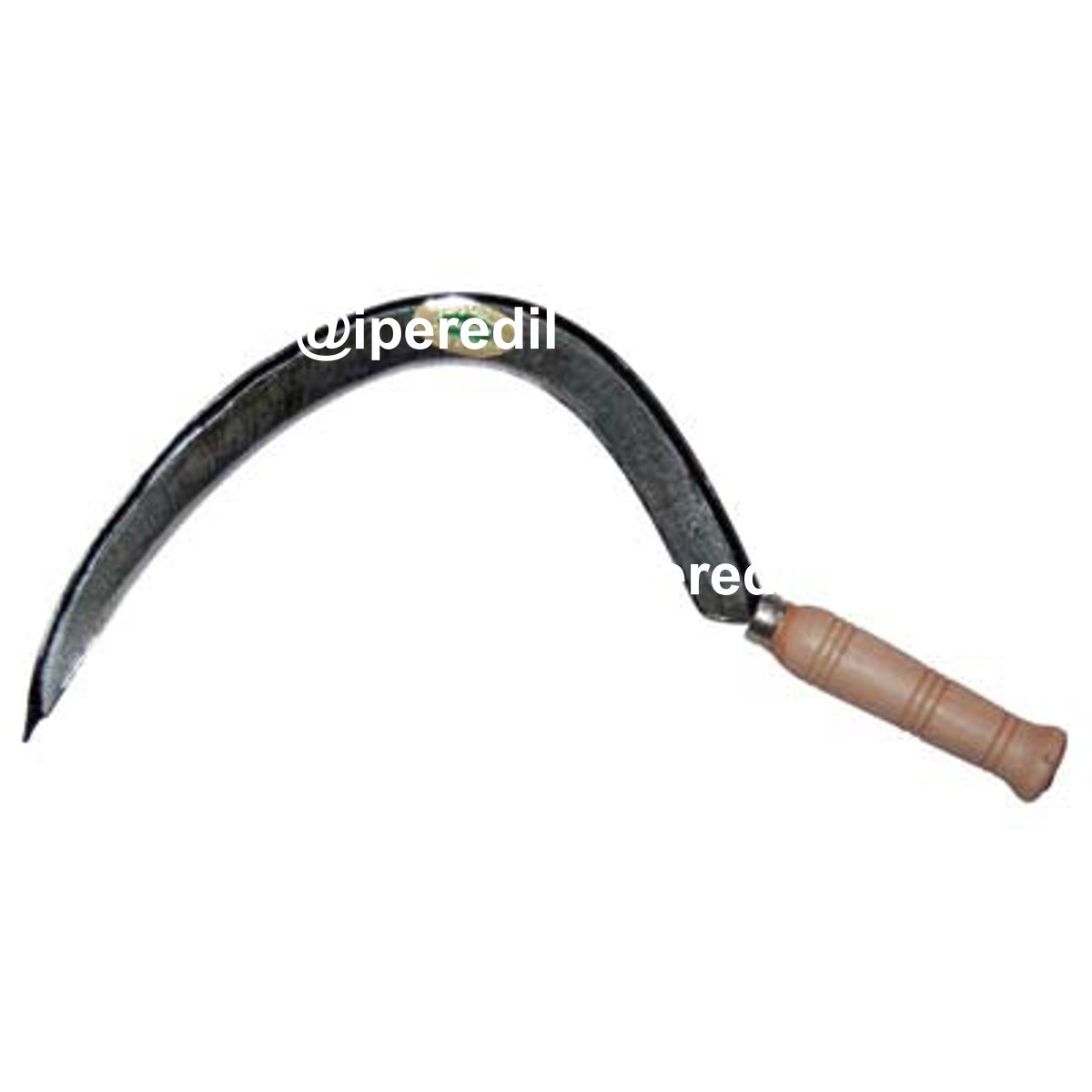 FALCIOLA MARCHE + COSTA 331 LEONELLI ACCIAIO FORGIATO N°0