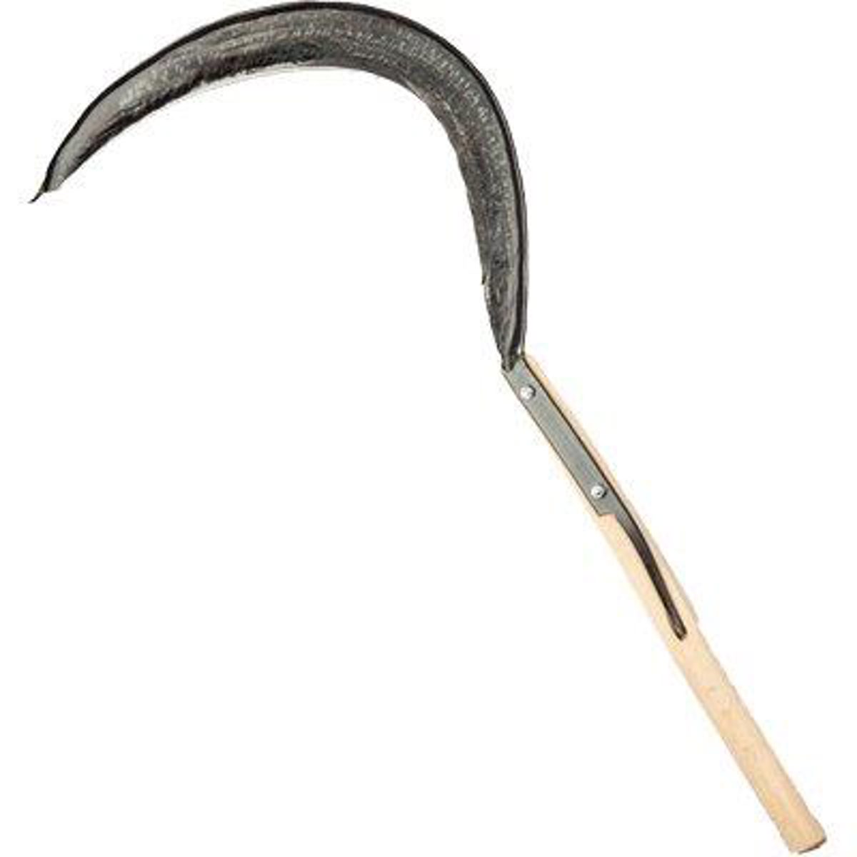 FALCIOLA SEGHEZZA CANTONIERE 776 ORSATTI CM 53 N°3