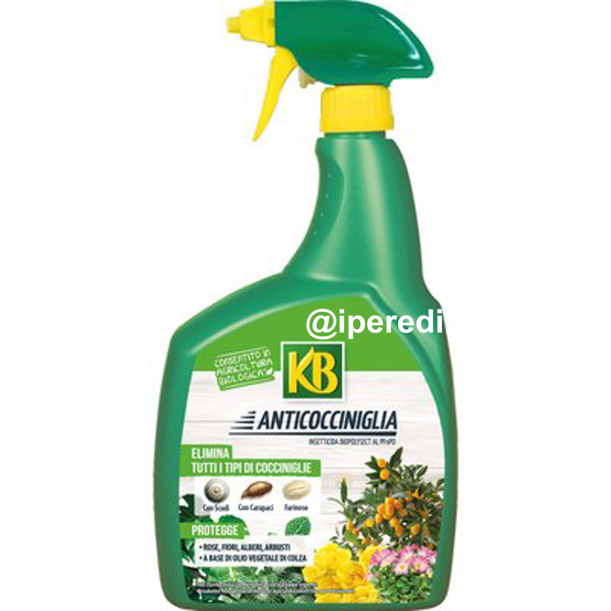 INSETTICIDA BIOPOLYSECT ANTICOCCINIGLIA KB ML 800