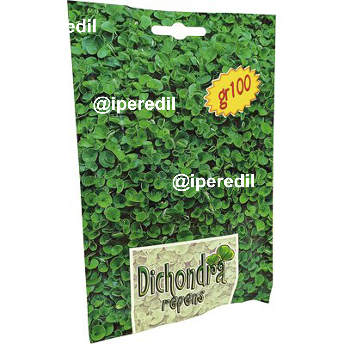 SEME PRATO DICHONDRA REPENS GR 100