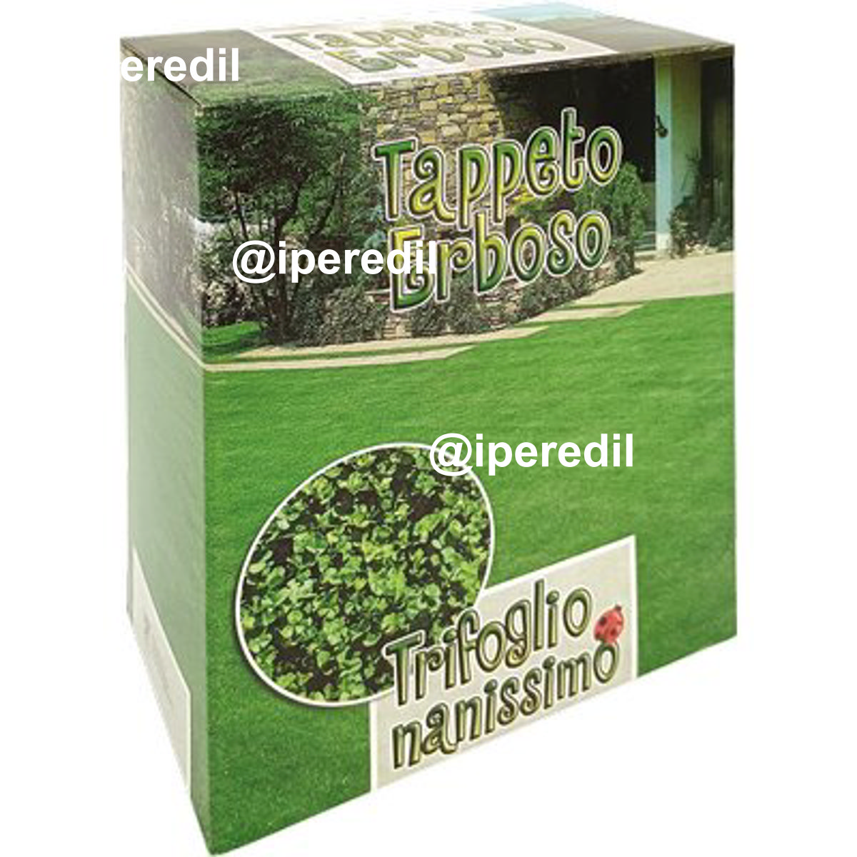 SEME PRATO TRIFOGLIO REPENS NANISSIMO GR 500
