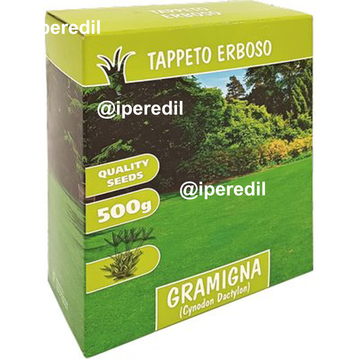 SEME PRATO GRAMIGNA GR 500