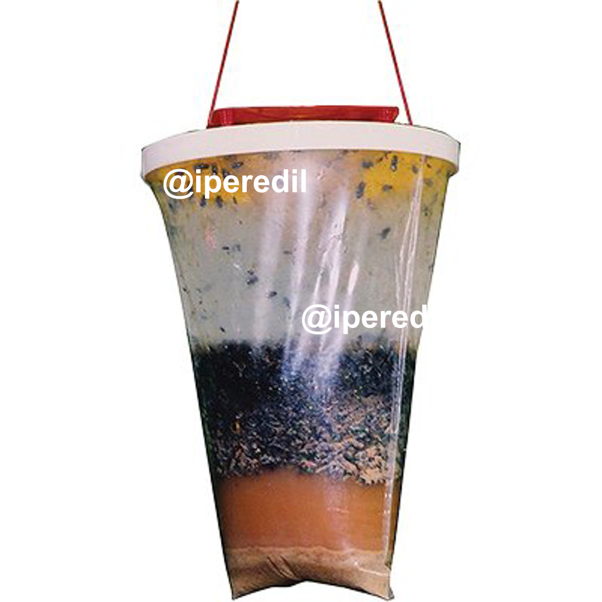 TRAPPOLA MOSCHE FLY TRAP COPYR