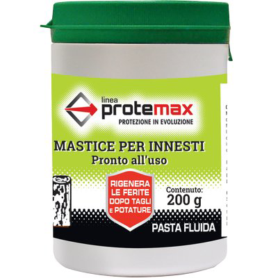 MASTICE X INNESTO PROTEMAX GR  200