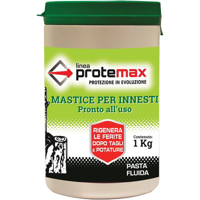 MASTICE X INNESTO PROTEMAX GR 1000