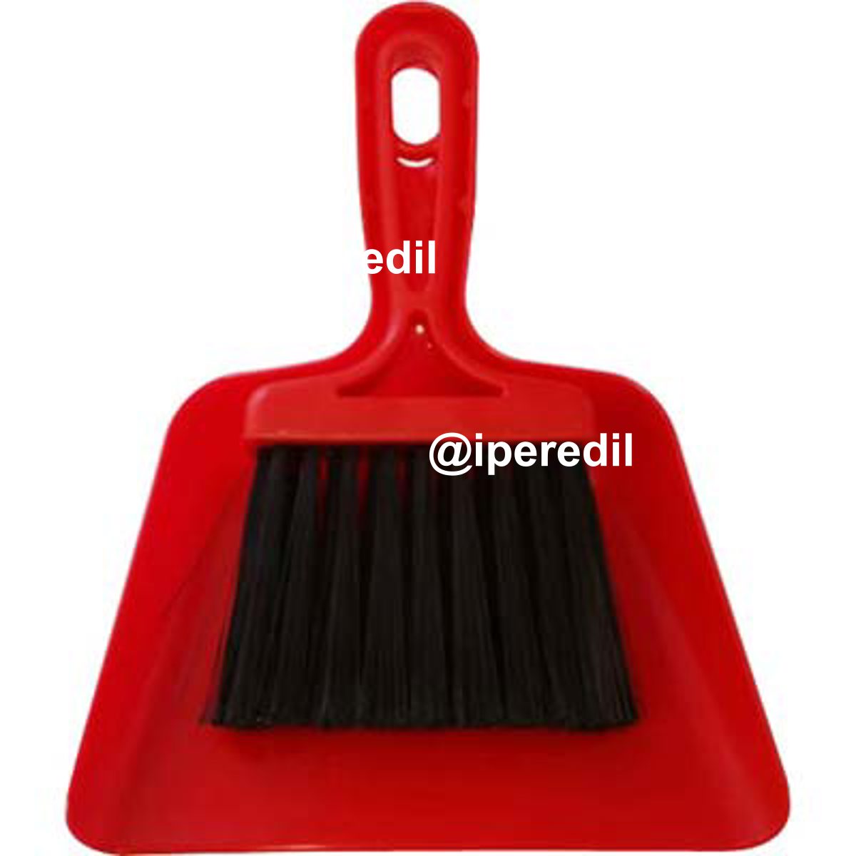 PALETTA E SCOPETTA PULIZIA AUTO PLASTICA/FIBRA SINTETICA