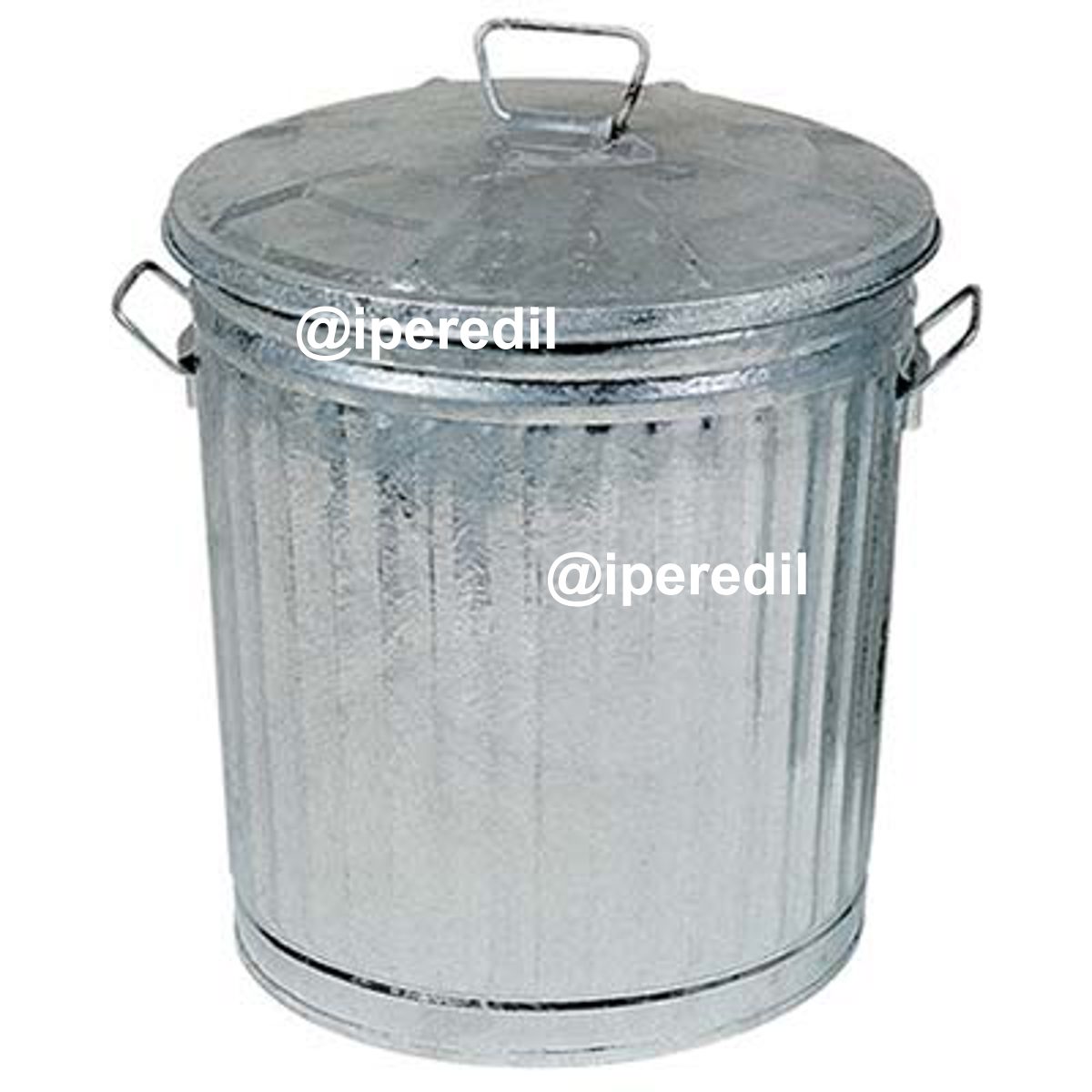 BIDONE IMMONDIZIA ACCIAIO DOMUS GALVANIZZATO LT 35 CM 38X31 H.CM 37