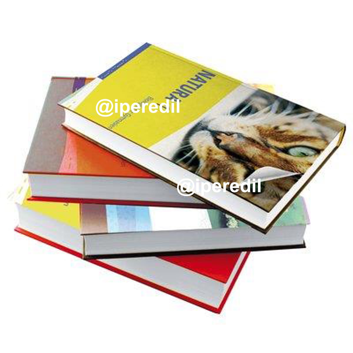 PLASTICA ADESIVA 0112 HOME DECO TRASPARENTE LUCIDO H.CM 45 L.MT 15