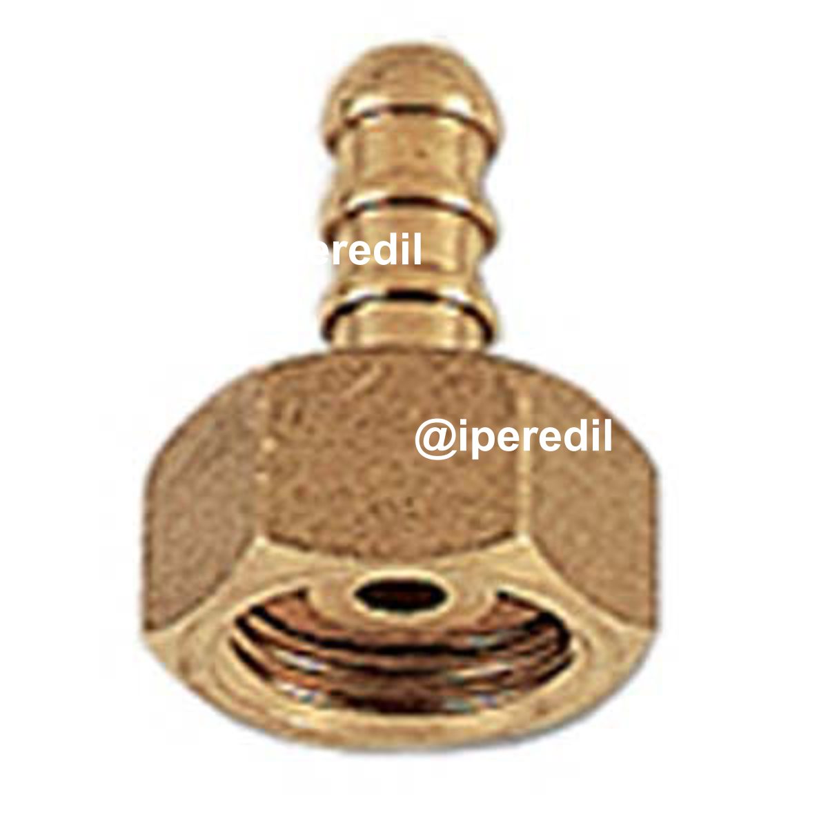 PORTAGOMMA GPL GIRELLO FEMMINA OTTONE MM 10 W20X1/14"SXF