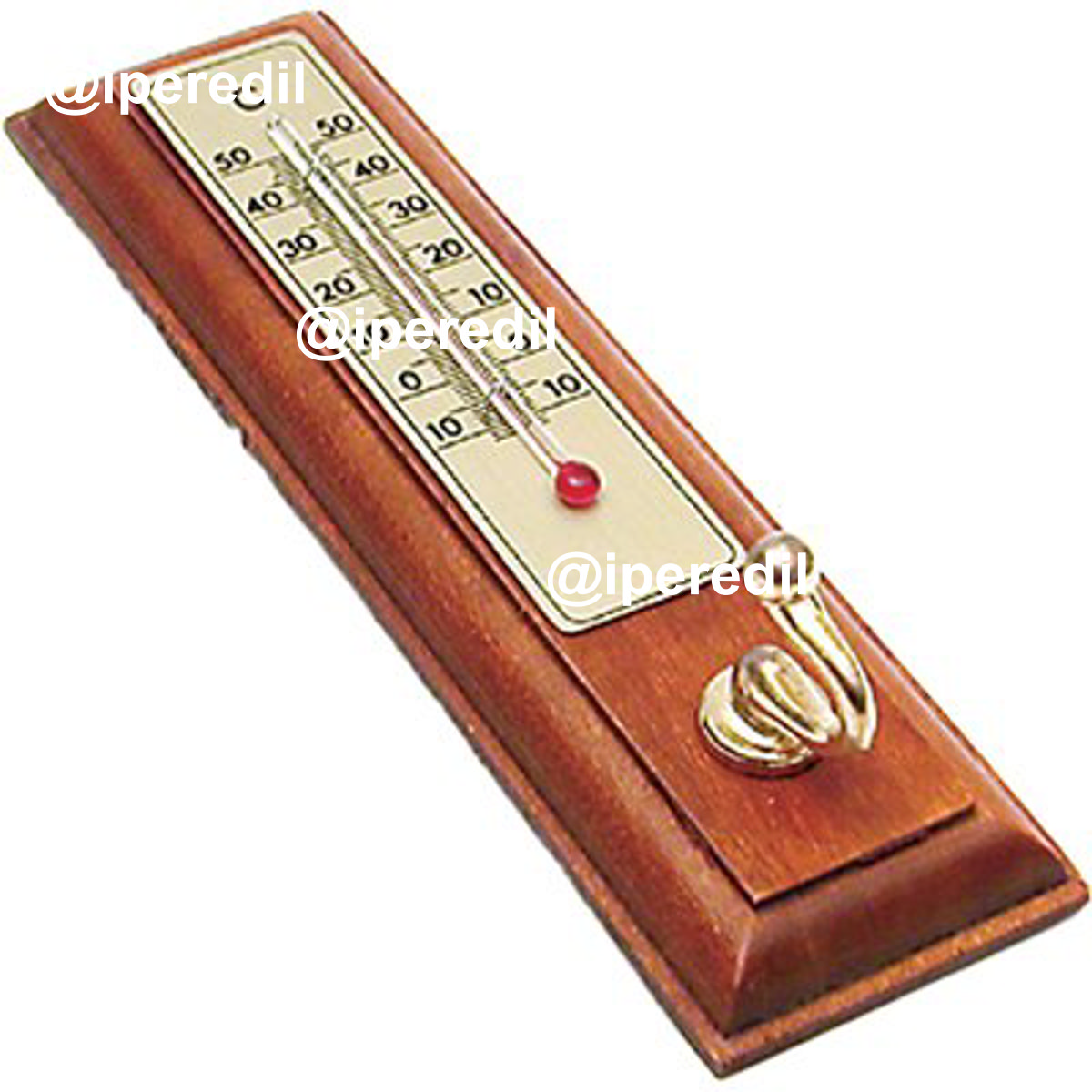 TERMOMETRO PRONTY LEGNO -10/+50°C CM 17,5X4,0