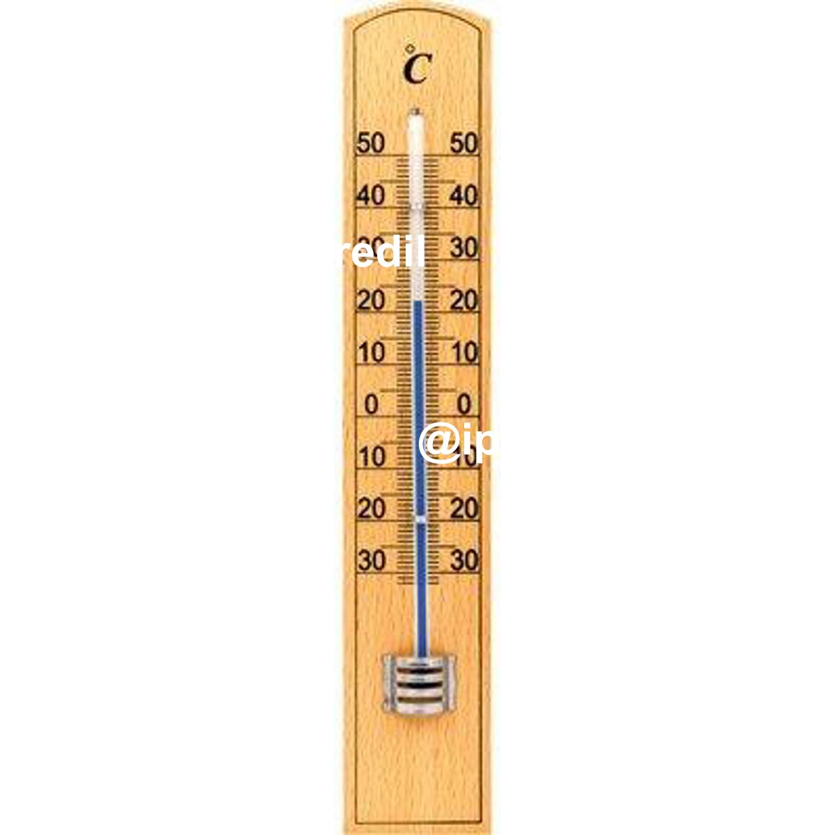 TERMOMETRO THERM30 VELAMP LEGNO -30/+50°C CM 3,4X20,0 - 03121146