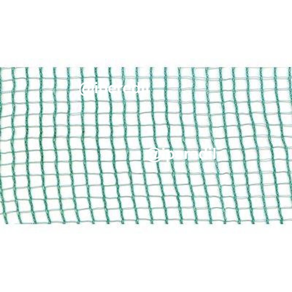 TELO X OLIVE PUGLIA + SPACCO STARS PE VERDE GR/MQ 32 MT 12X12 + POLIECO - 03232823