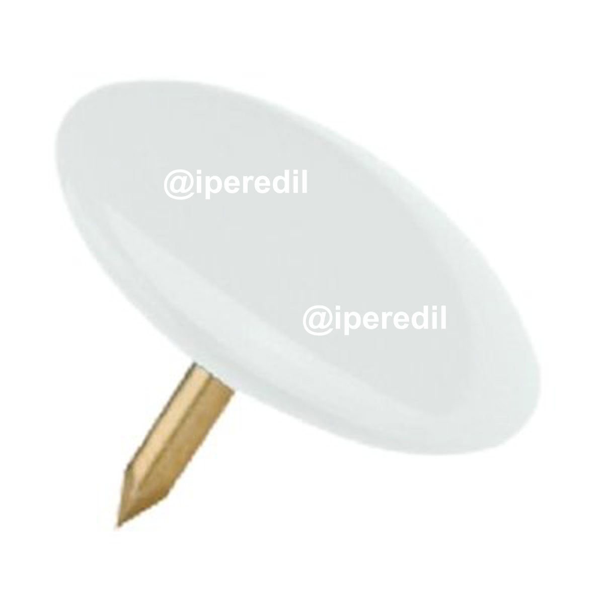PUNTINA DISEGNO OTTONATA TESTA PLASTICA BIANCO CF=PZ 70 - 04384150