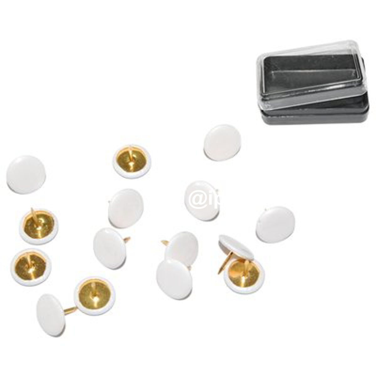 PUNTINA DISEGNO PRONTY OTTONATA TESTA PLASTICA BIANCO CF=PZ 70