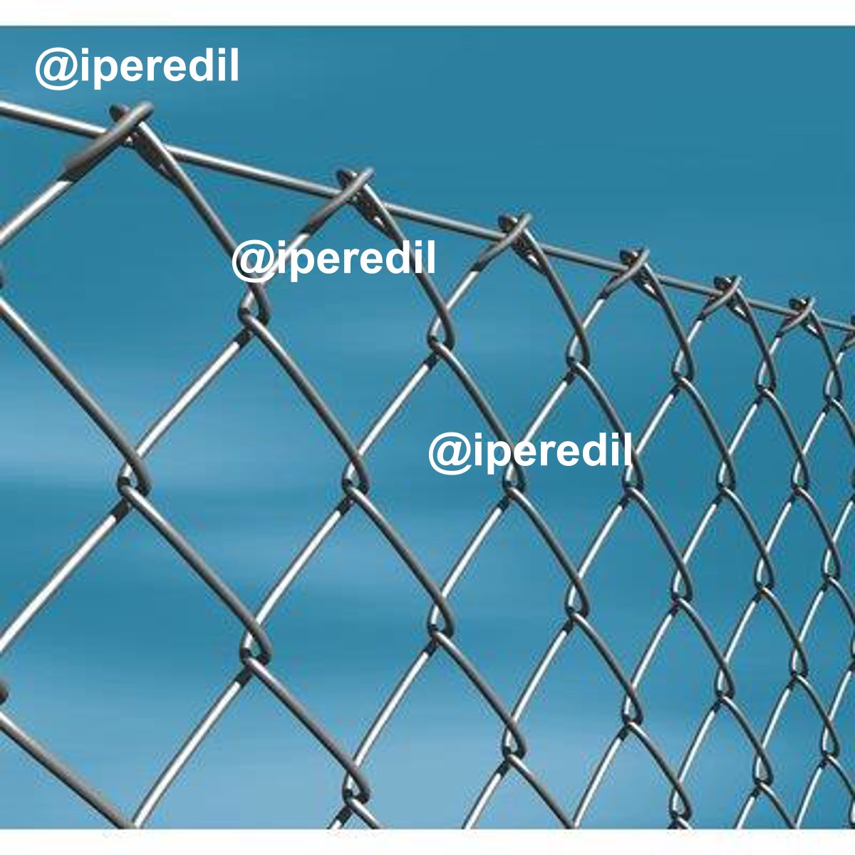 RETE GRIGLIA ZINCATA CAVATORTA N° 13=MM 2,0 MM 50X50 L.MT 25 H.CM 100