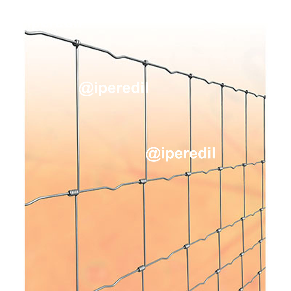 RETE PECORA ANNODATA ZINCATA MARGHERITA CAVATORTA 120/9/15 VIVAGNO MM 2,2 L.MT 50