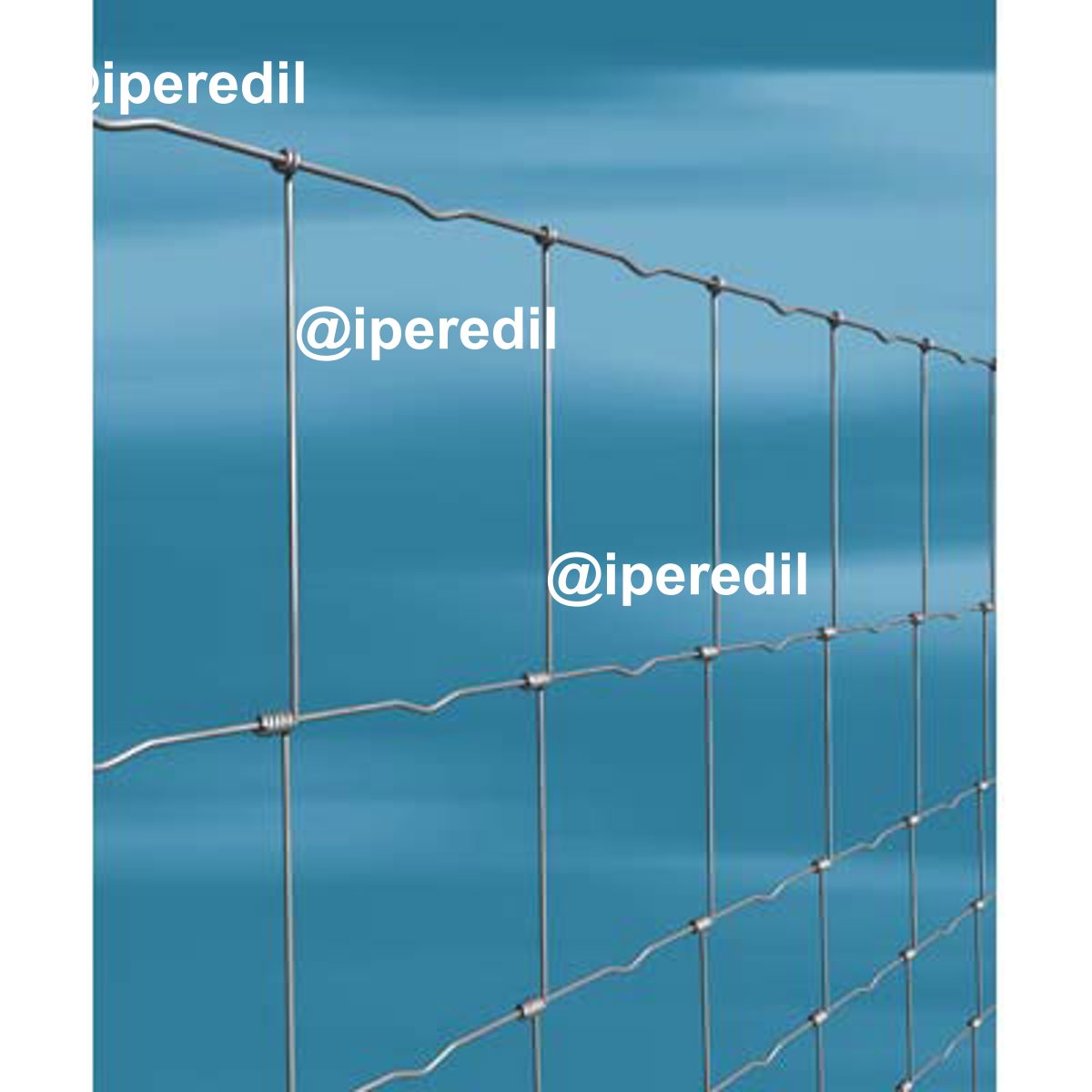 RETE PECORA ANNODATA ZINCATA NODAGRI CAVATORTA 100/9/15 VIVAGNO MM 2,5 L.MT 50