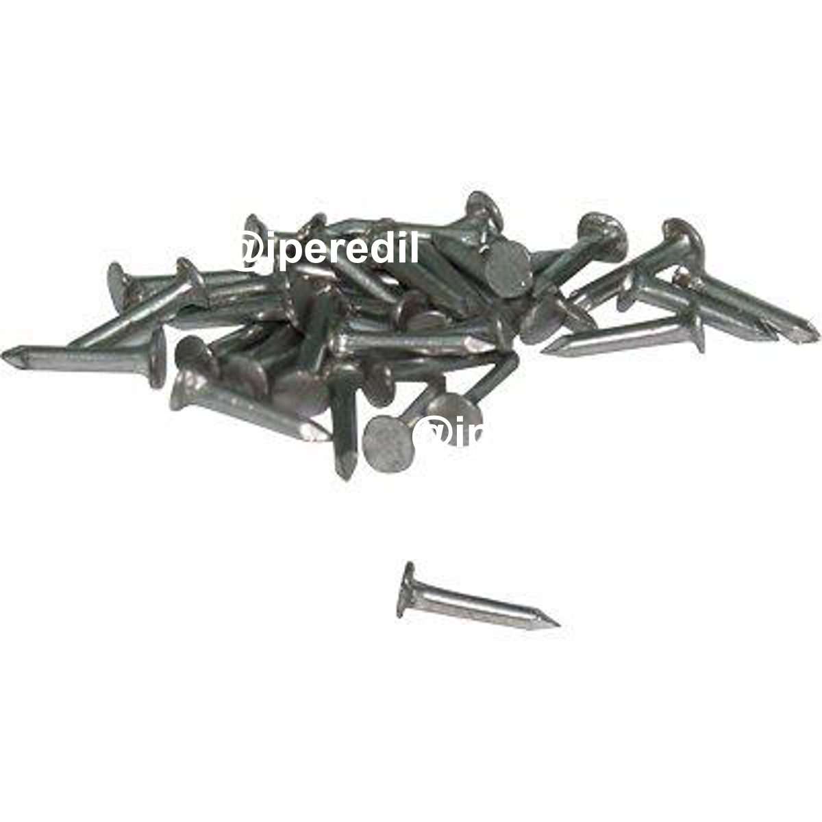 SEMENZA TESTA PIANA MM 10 CF=KG 1