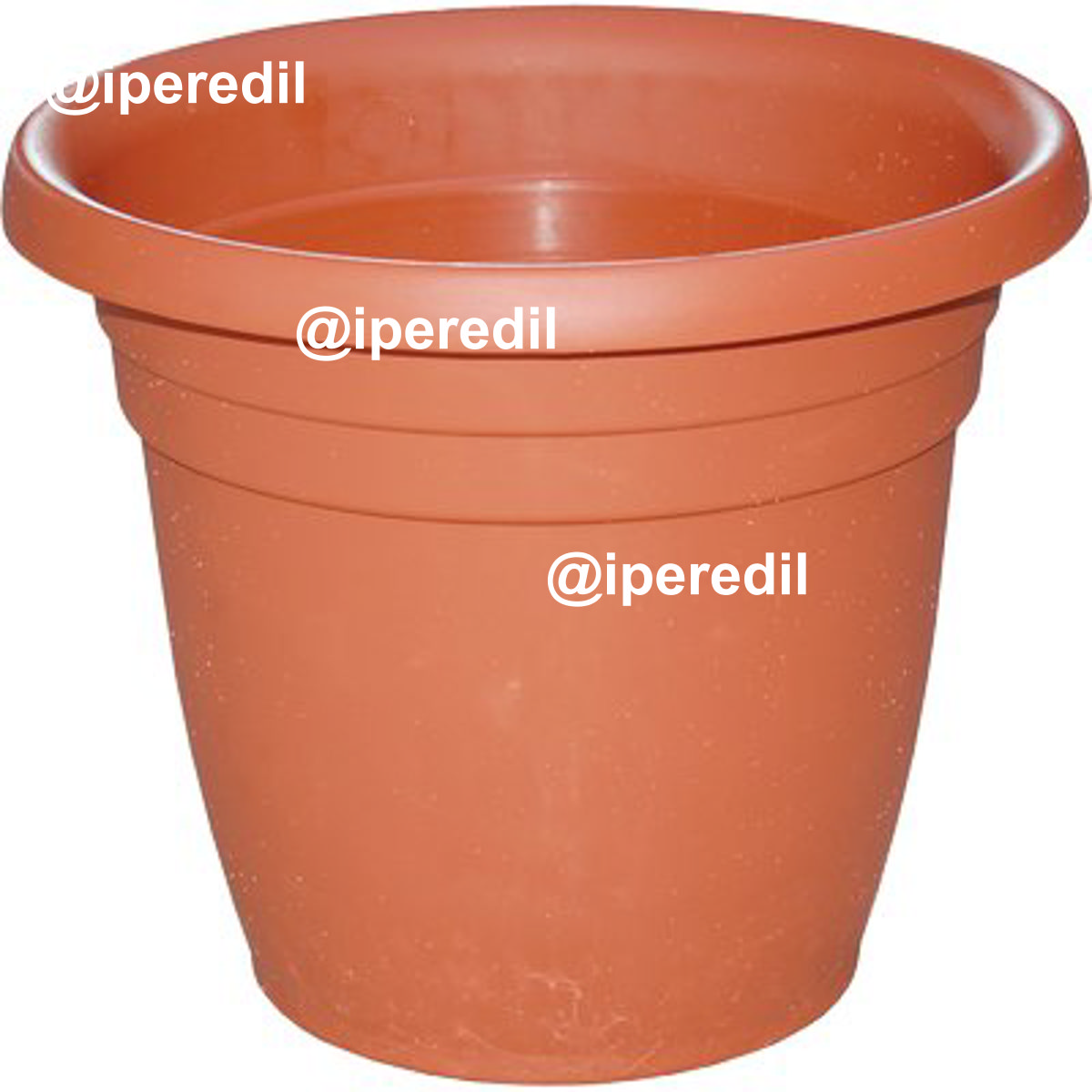 AGRICOLTURA E GIARDINAGGIO