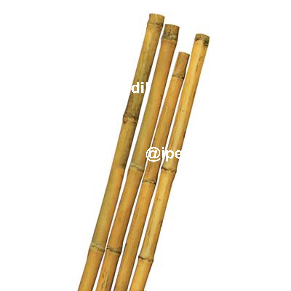 TUTORE CANNA BAMBOO STARS MM MAX 22 H.CM 150 - 06203504