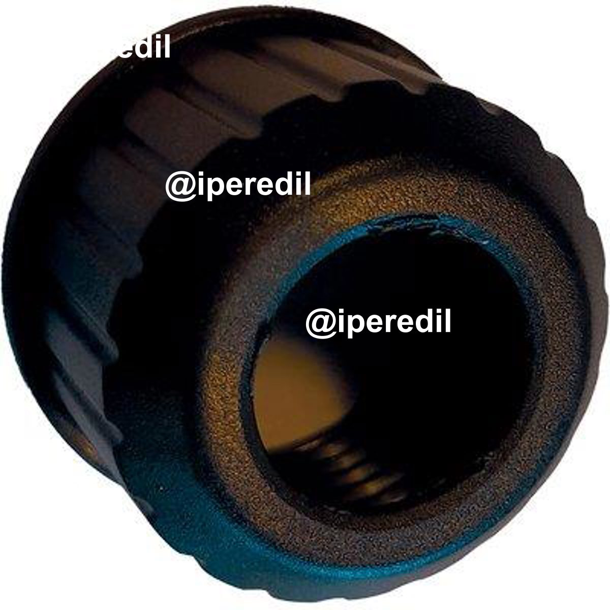 GHIERA POMPETTA OLIO SEGA EASYCUT REX STARS N° 24